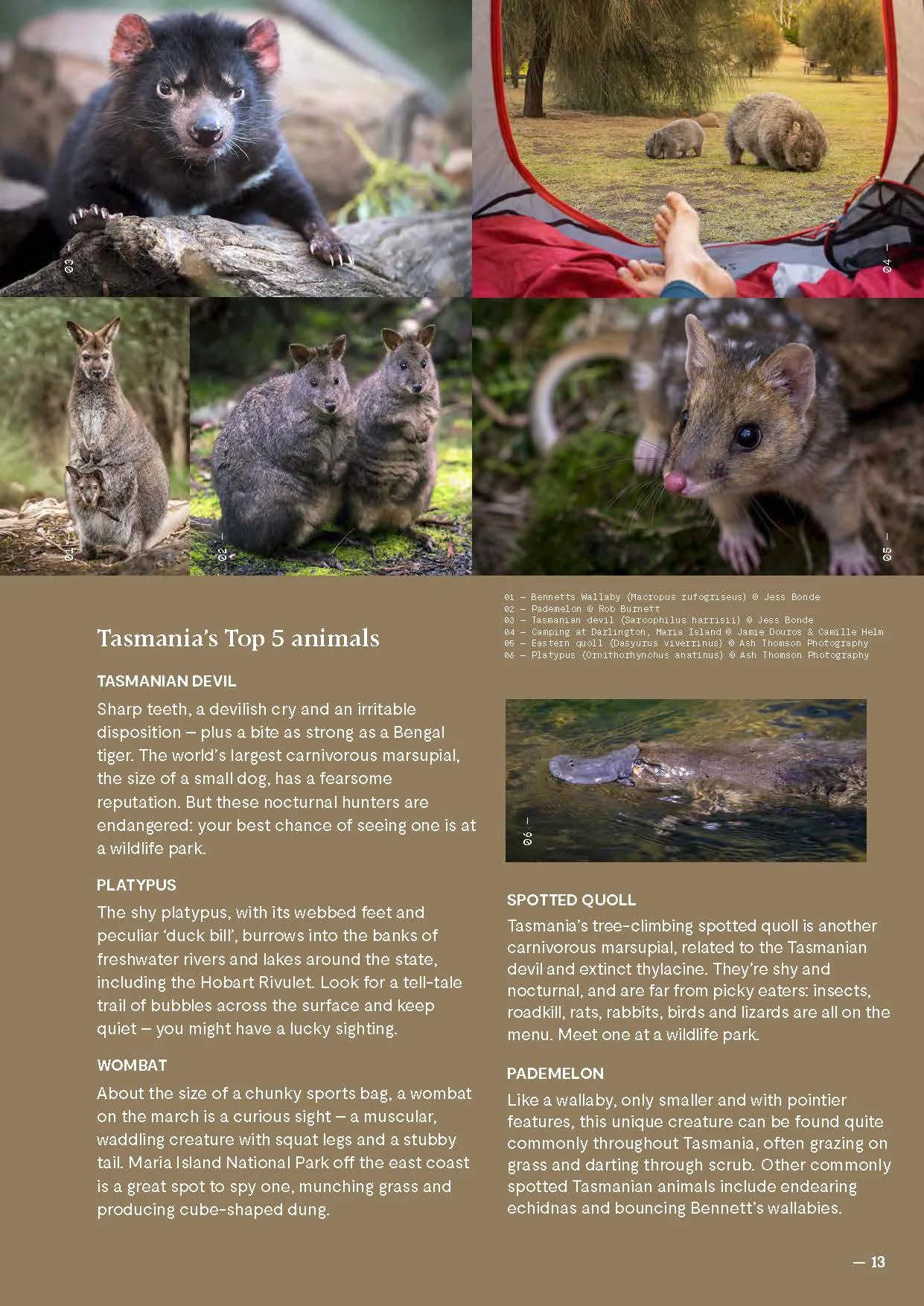 travel-professionals-guide-2025_Page_13