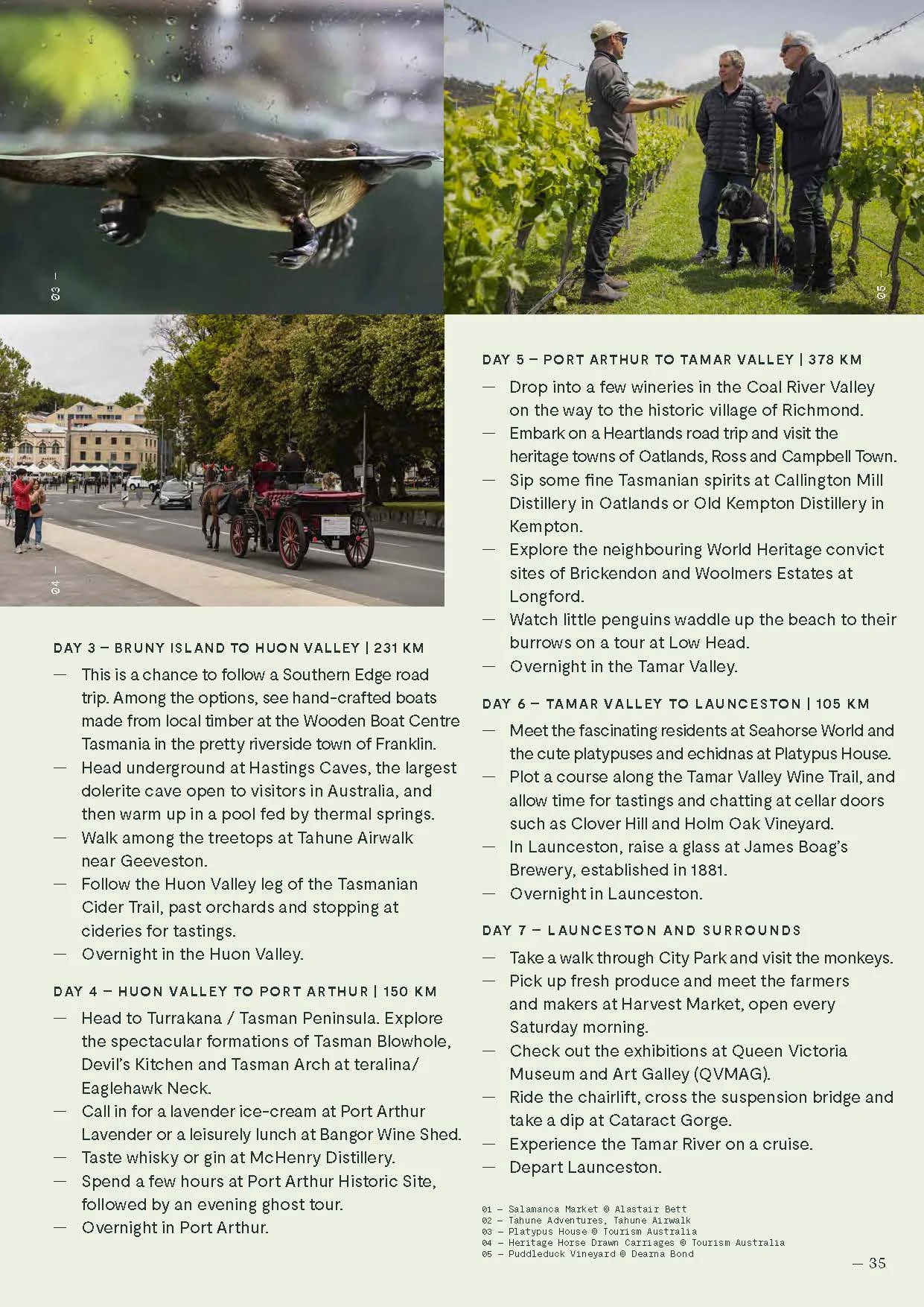 travel-professionals-guide-2025_Page_35